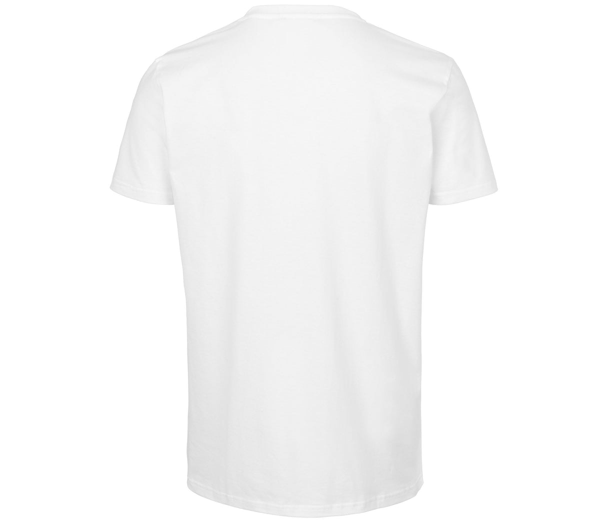 NEUTRAL MENS V-NECK T-SHIRT