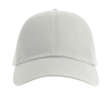 DAD HAT-S