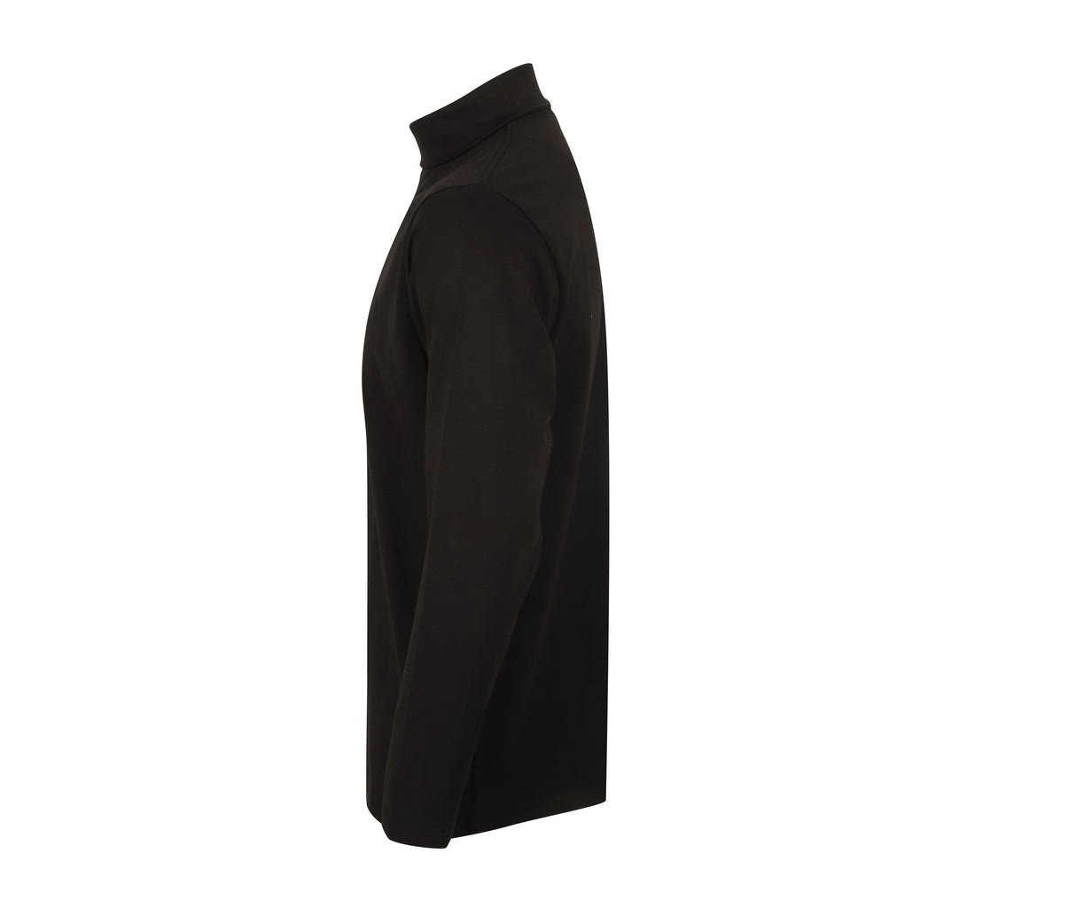 HENBURY LONG SLEEVED ROLL NECK TOP