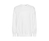 TIGER OVERSIZED SWEATSHIRT