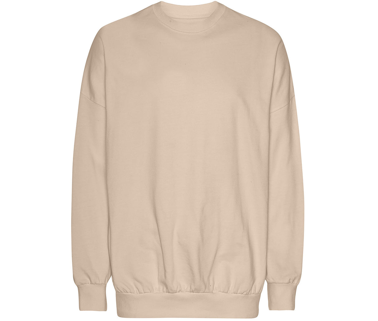 TIGER OVERSIZED SWEATSHIRT