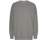 TIGER OVERSIZED SWEATSHIRT