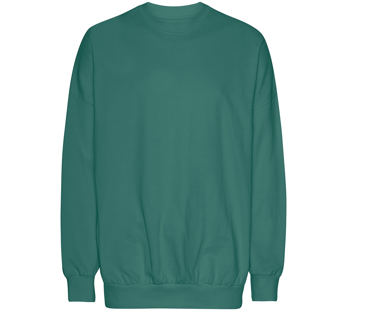 TIGER OVERSIZED SWEATSHIRT