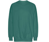 TIGER OVERSIZED SWEATSHIRT