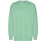 TIGER OVERSIZED SWEATSHIRT