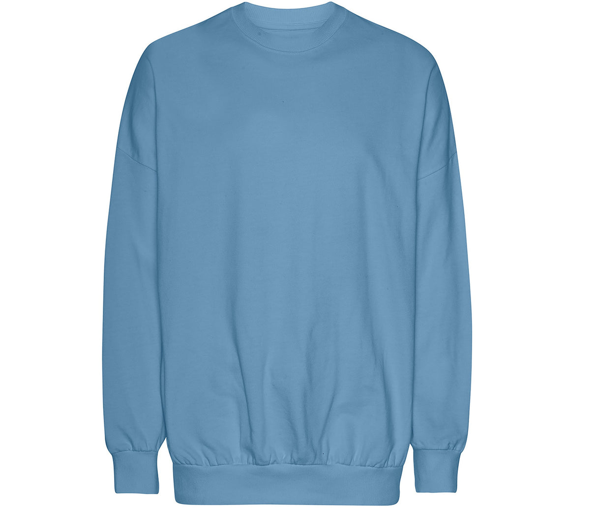 TIGER OVERSIZED SWEATSHIRT