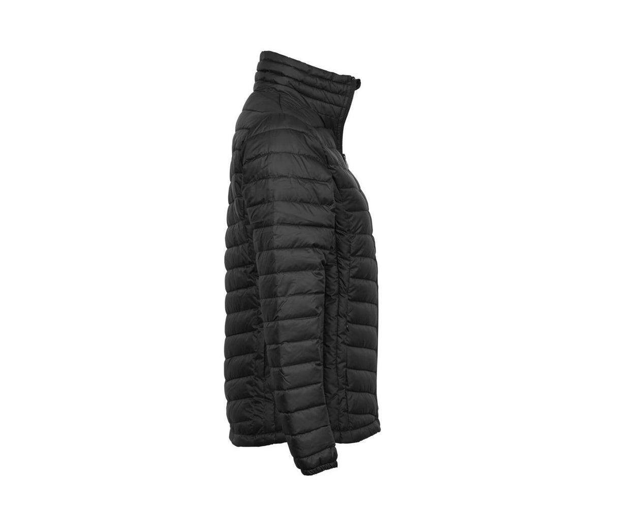 LADIES ZEPPELIN JACKET
