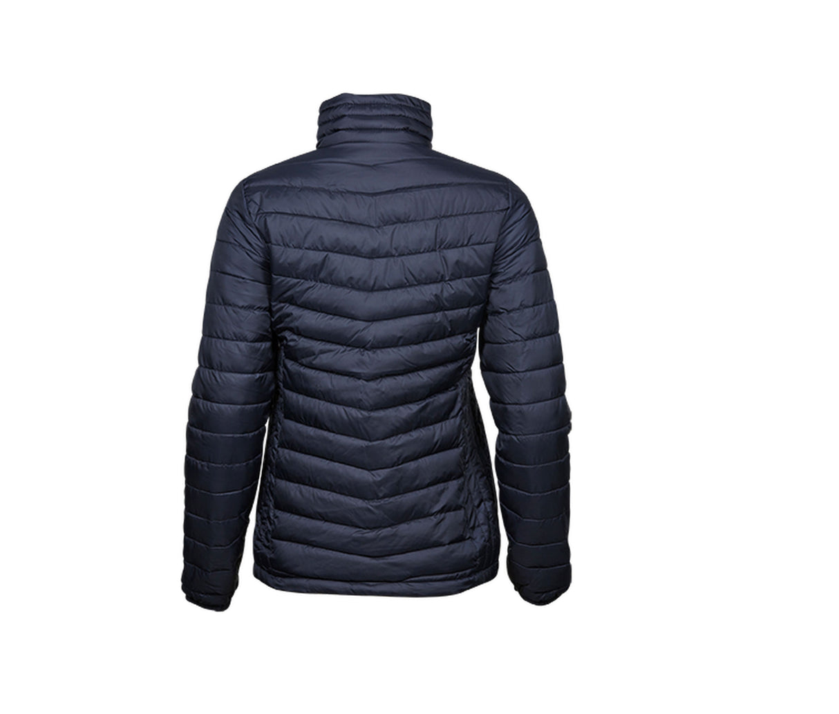 LADIES ZEPPELIN JACKET