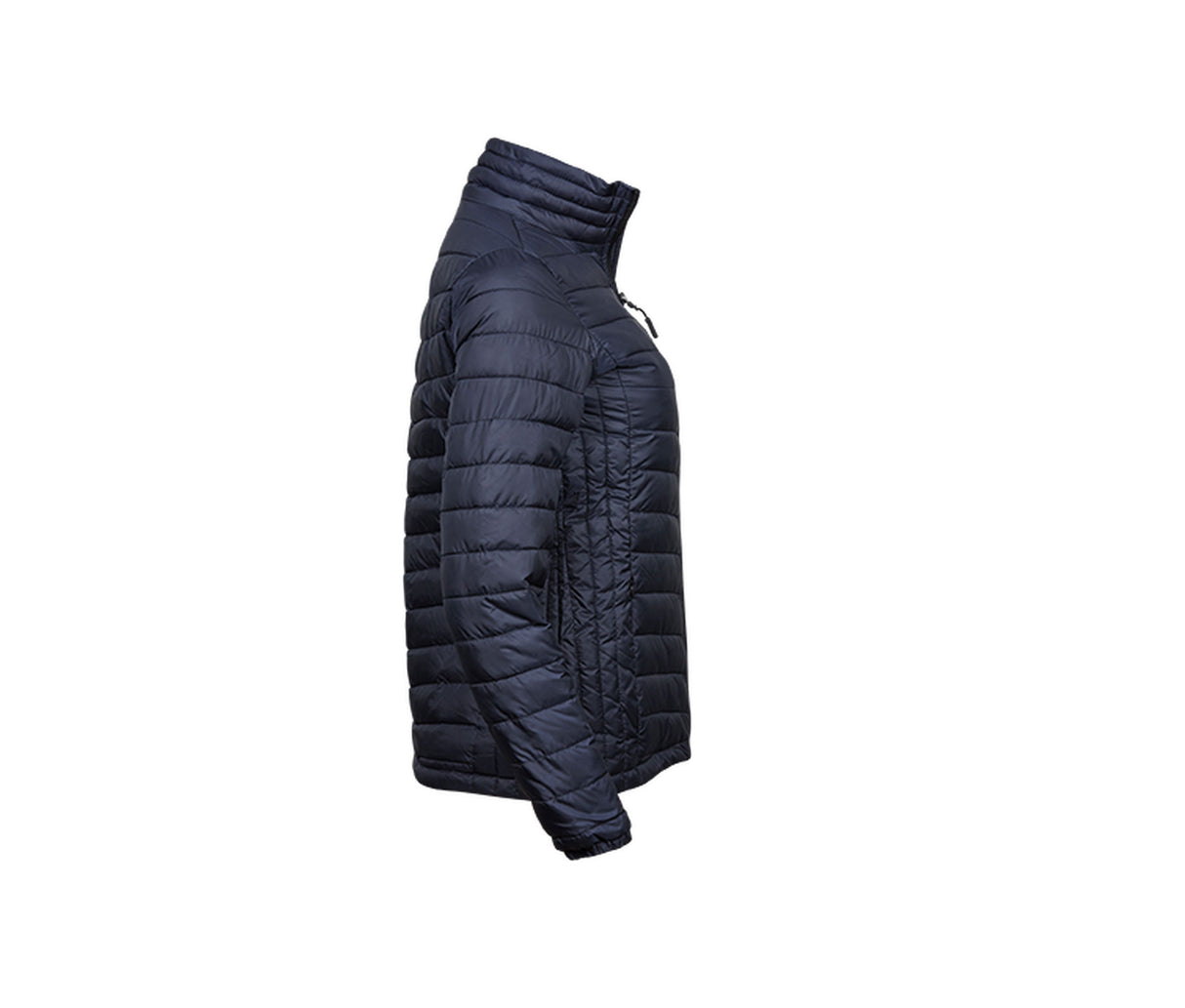 LADIES ZEPPELIN JACKET